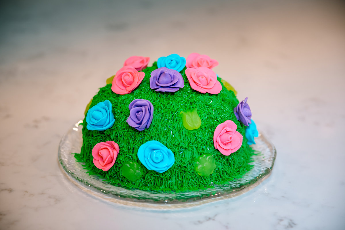 Mount Sinai Cake